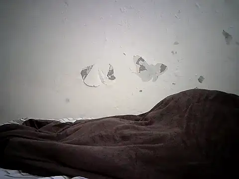 cockdory Live Chatraum