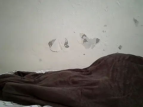 cockdory Live Chatraum