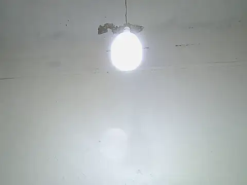 cockdory Live Chatraum