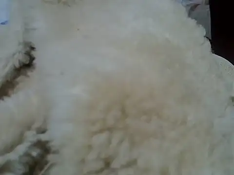 Živá chatovací místnost sexy_ima