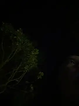Chat ao vivo de qianduoduo521