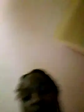 Sexxygali Live Chatraum