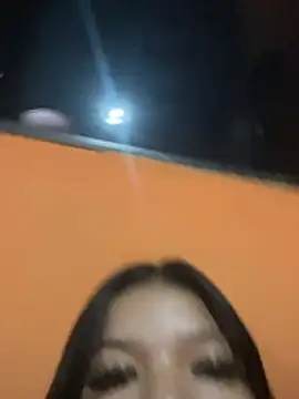 havena 실시간 채팅방