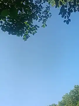 Dubbbetty Cameră chat live
