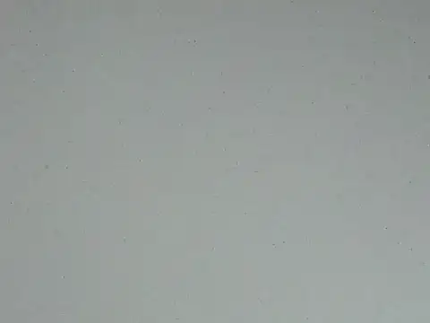 Joey-988 Cameră chat live