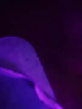 annayya_zz Cameră chat live