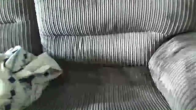 -CaseyT- Live Chatraum