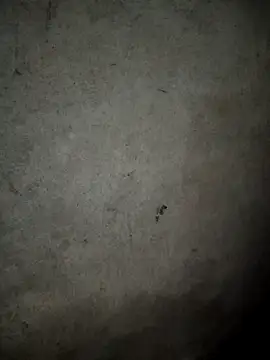 Chat soba uživo modela Eirlys-baby