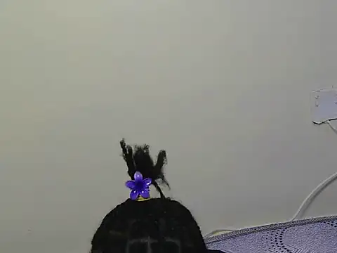 macecce Live Chatraum