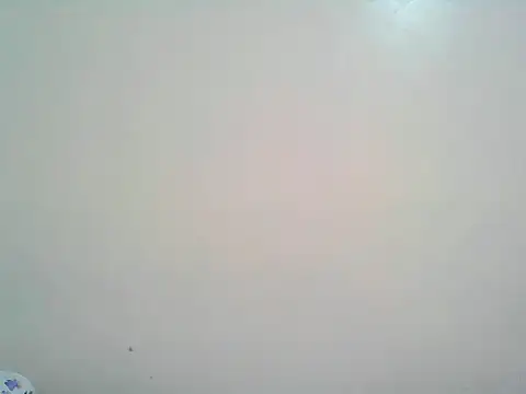 macecce Live Chatraum