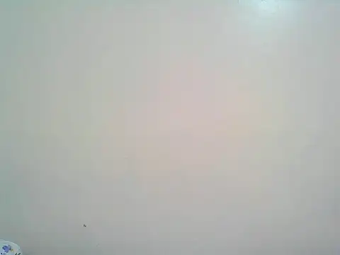 Chat ao vivo de macecce
