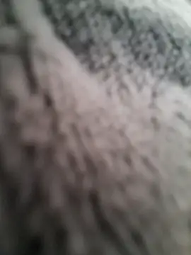 Chat ao vivo de SegoLive