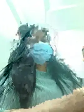 Dr_monika Adlı Modelin Canlı Sohbet Odası