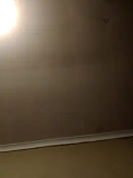 LovelyL2 Live Chatraum