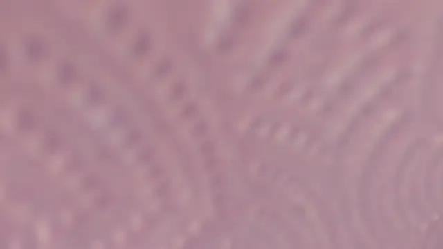 Elizabeth_rochee 실시간 채팅방