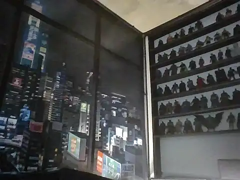 tokyo_yasumi Live Chatraum