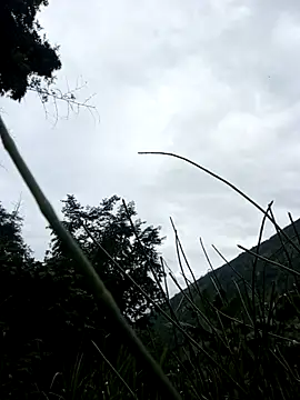 Živá chatovací místnost lylylai