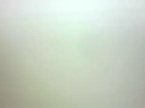 midnight_cunt live-chat rom