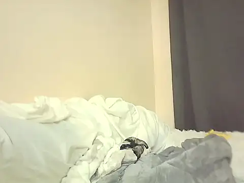 midnight_cunt Live Chatrum