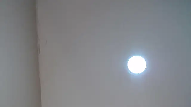 Chat ao vivo de koral_27