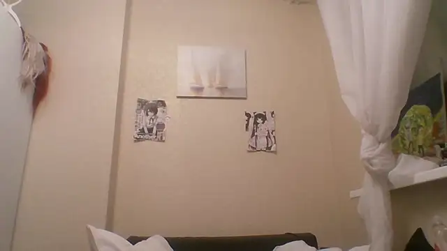 DinaKolter 现场聊天室