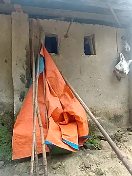 cheooo_sexy লাইভ চ্যাট রুম