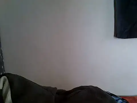 zelyp – live chatrum