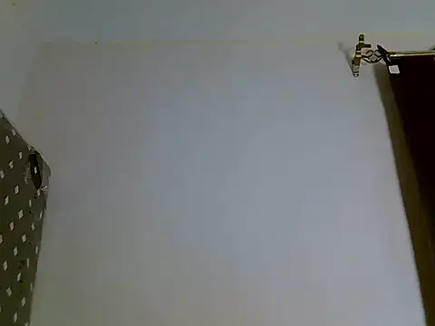 zelyp Cameră chat live