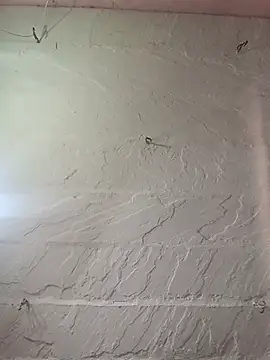 Sala de chat en directo de HOranipal57