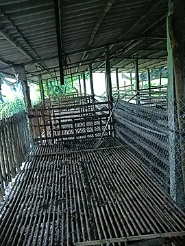 Bilik Sembang Langsung Bong_Hoa