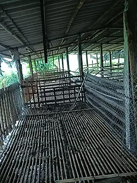 Bong_Hoa – live chatrum