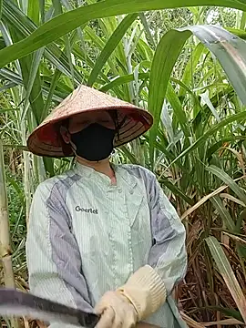 Bong_Hoa 실시간 채팅방