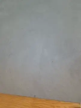 camri-zz Live Chatraum