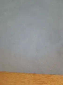 camri-zz live-chat rom