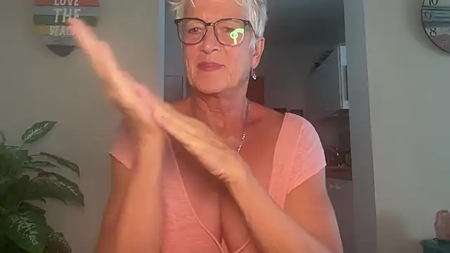 ldrolet – Kamerová šou