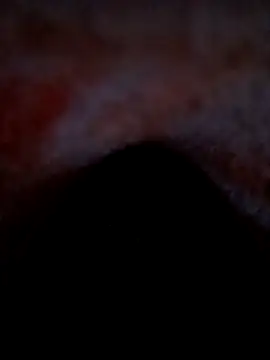 Model-111 Live Chatraum