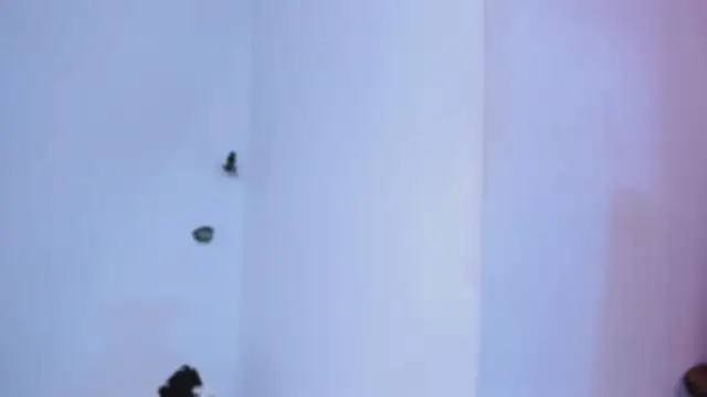 Chat soba uživo modela celeste_mill