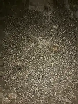 Živá chatovací místnost MissY_8