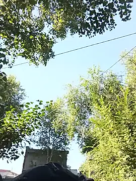 غرفة دردشة Angel_Eyes_Dark_Mind المباشرة