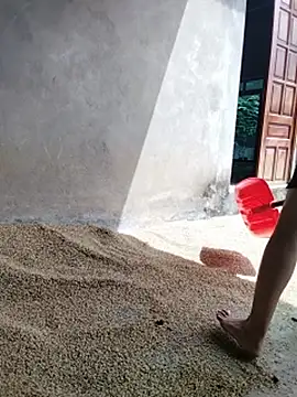 _Lynk_ Cameră chat live