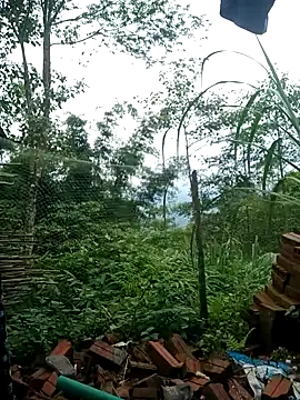 Chat ao vivo de BaoHan22