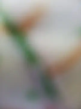 avii5: δωμάτιο απευθείας συνομιλίας