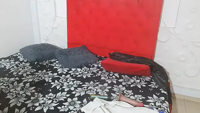 Chat ao vivo de lupita20261