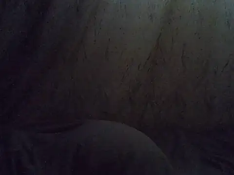 Ebony_Monroe1 실시간 채팅방