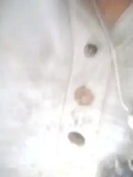 Sofia-fuck Cameră chat live