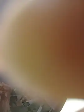 Živá chatovací místnost RachealCoco