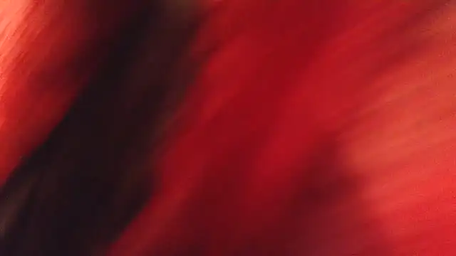 Chat ao vivo de pinkchan0505