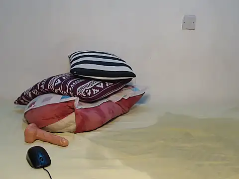 prittyprincessa 실시간 채팅방