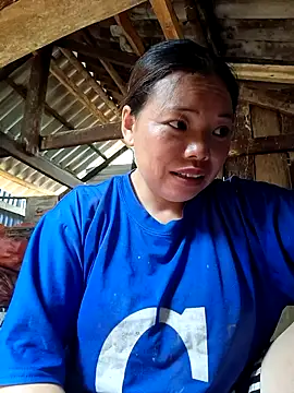 Bini-ll Live Chatraum