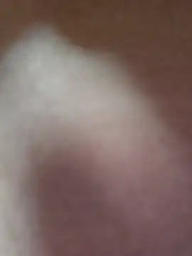 Lusty-Dishuu Ruang Obrolan Langsung